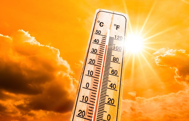 Pourquoi les modèles climatiques peinent à mesurer les vagues de chaleur