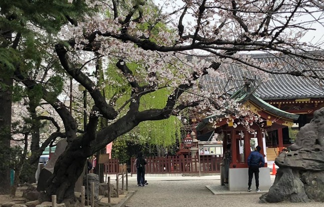 Les 10 pays où les gens sont en meilleure santé et vivent le plus longtemps