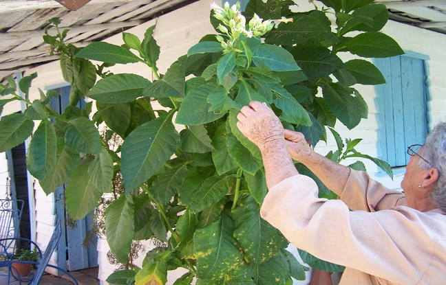 Cuba auscultée à la loupe, un essai écrit par André Chassaigne député du Puy de Dôme