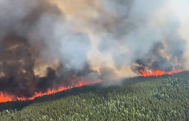 Incendies au Canada : Montréal dans la fumée, l’Europe menacée