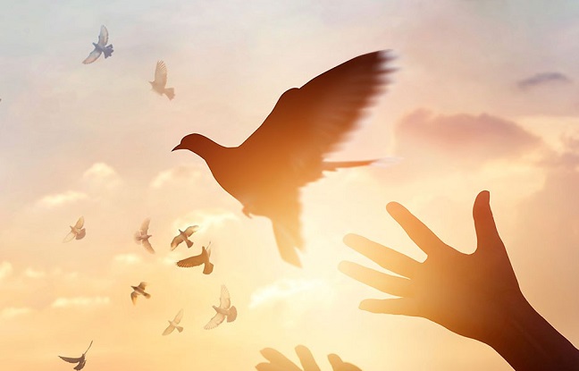 Des artistes israéliens, tunisiens et yéménites ensemble pour chanter la paix