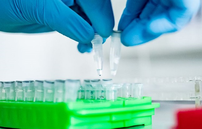 Covid-19 : le clofoctol est-il la molécule miracle de l'Institut Pasteur ?