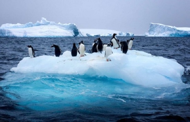 L’Arctique confrontée à l’une des plus graves pollutions de son histoire