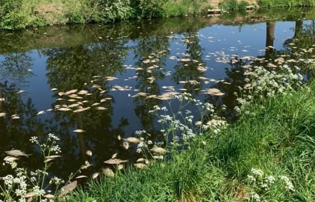 Catastrophe industrielle. L’Escaut asphyxié, la Wallonie accuse la France de  négligence. Le député communiste du Nord Fabien Roussel interpelle le gouvernement
