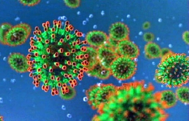 Coronavirus. Éric d’Ortenzio, épidémiologiste :  Plusieurs molécules sont à l’essai 