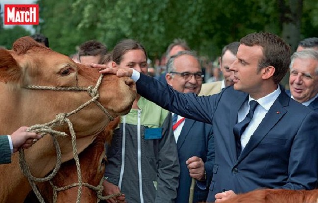Élysée. Opération Macron. Un livre de Éric Stemmelen