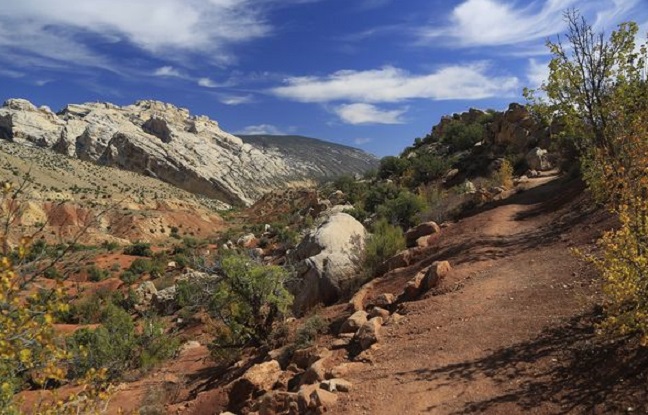 « En cherchant le rendement à tout prix, l'homme crée des déserts, une terre morte »