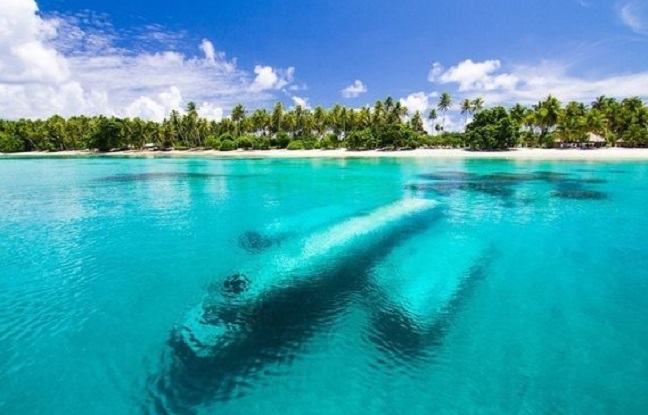 Nucléaire. L’Amérique explose les atolls, range sous le tapis, puis s’en va