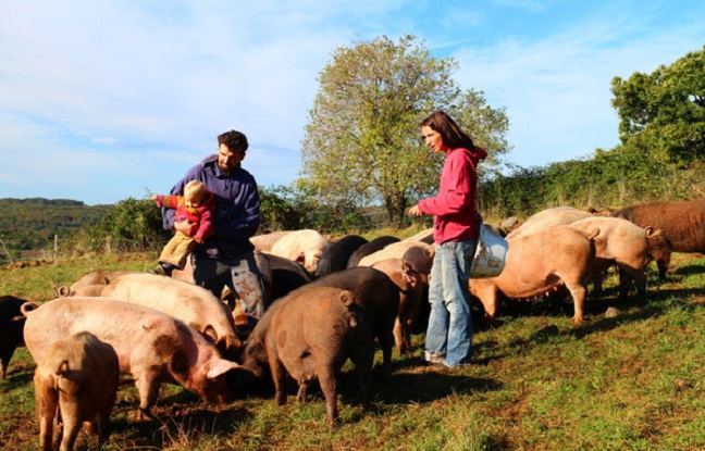 Sarah Chaussy, paysanne et candidate PCF aux Européennes, à la conquête des ruraux