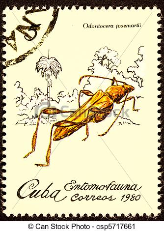 Cuba. L’ambassade américaine n’était pas attaquée par une arme mystérieuse, mais par… des grillons