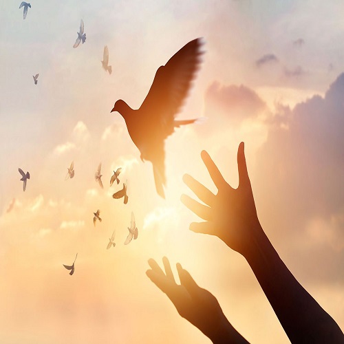 Fabien Roussel, un discours pour la Paix