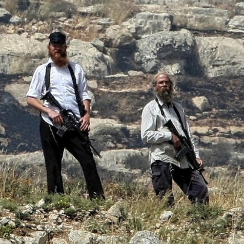 Reportage international - Les colons israéliens, protégés par l’armée, font régner la terreur auprès des Palestiniens