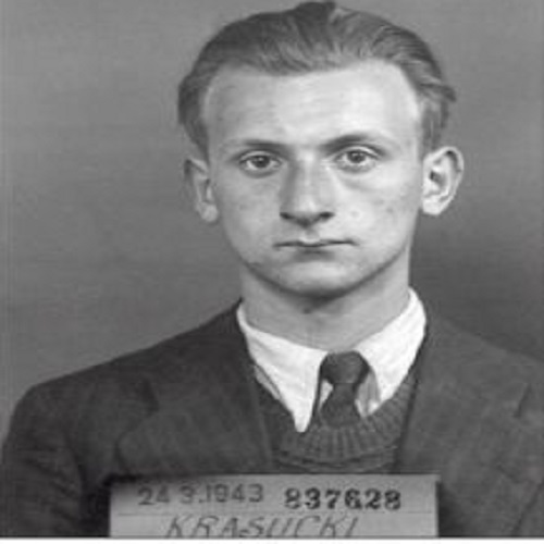 Auschwitz-Birkenau  : Henri Krasuki et Simone Veil témoignent