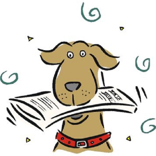 Le contre journal proposé par Mosaik Radios : APL, loi LOM, armes à feu USA, fête de l Huma